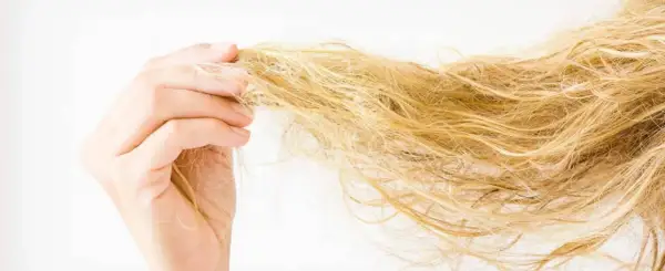 Dłoń trzyma pasmo blond włosów, które wyglądają na zniszczone i suche.